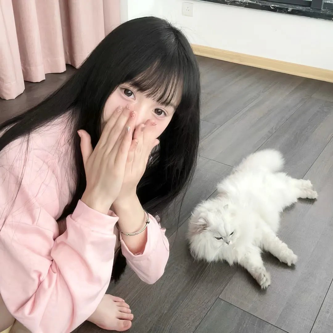 龙牌之谜