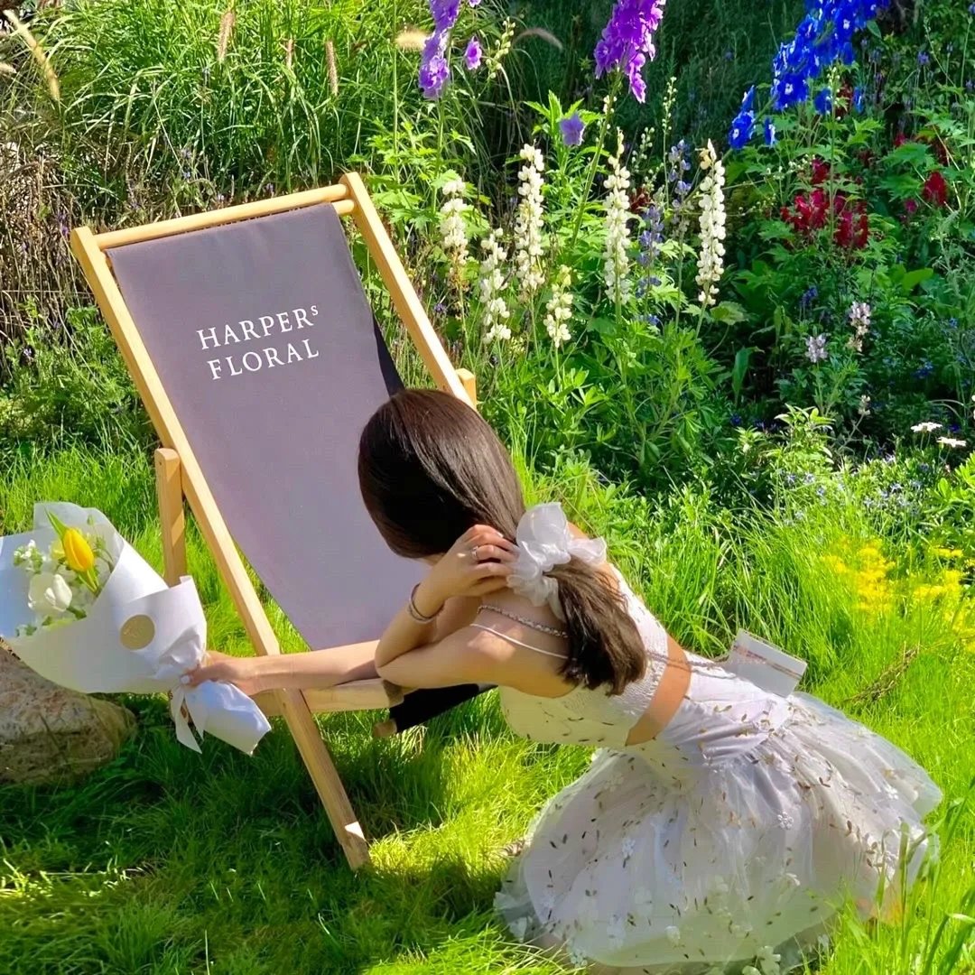 失去的女孩